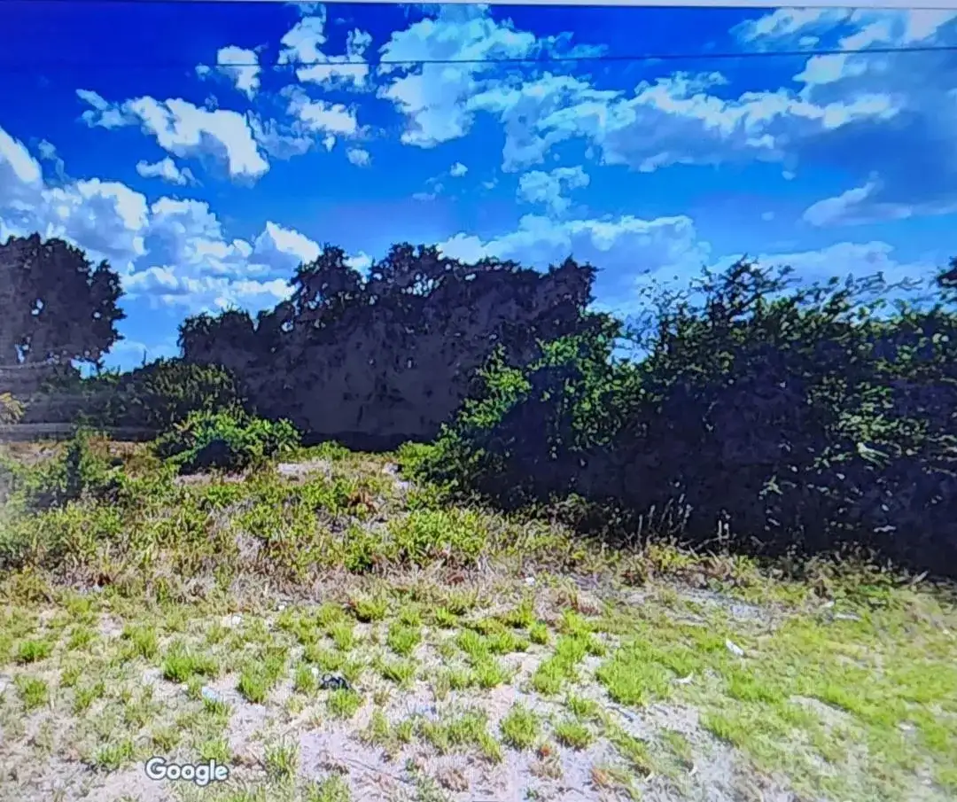 810 E Wolverine Street E, Lehigh Acres FL 33974 photo 3
