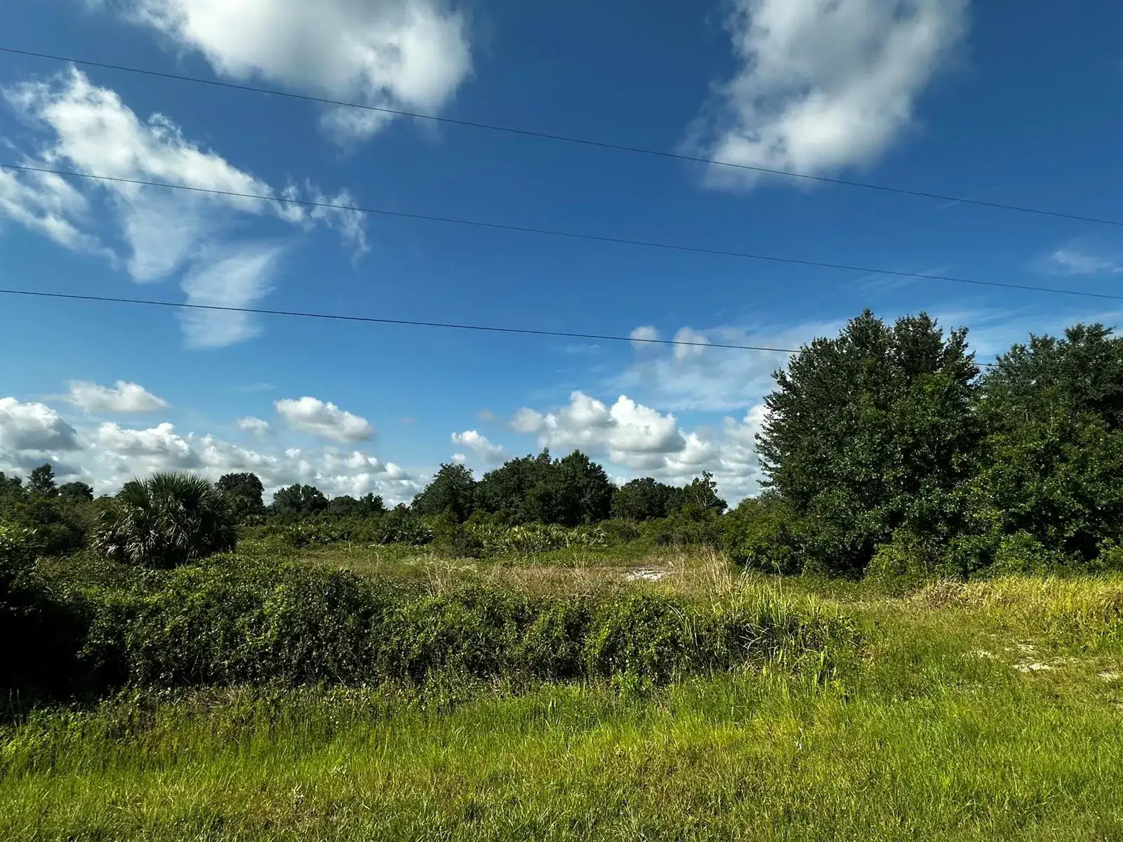15138 NW 262nd Street, Okeechobee FL 34972 photo 2
