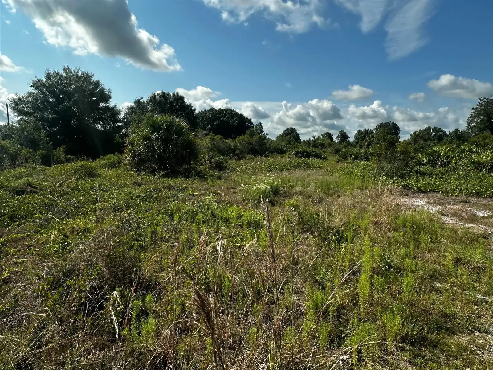 15138 NW 262nd Street, Okeechobee FL 34972 photo 4