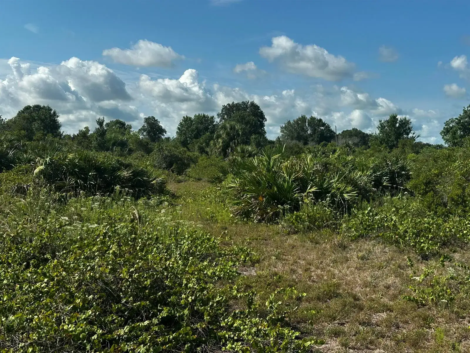 15138 NW 262nd Street, Okeechobee FL 34972 photo 5