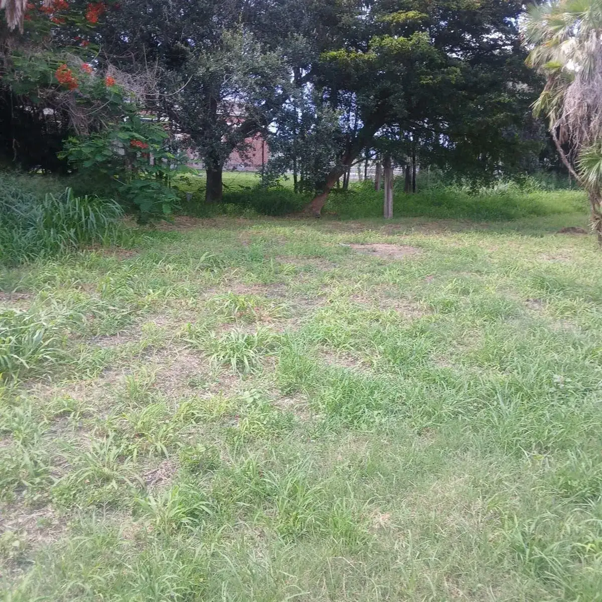 . SW Conners Highway W, Canal Point FL 33438 photo 2