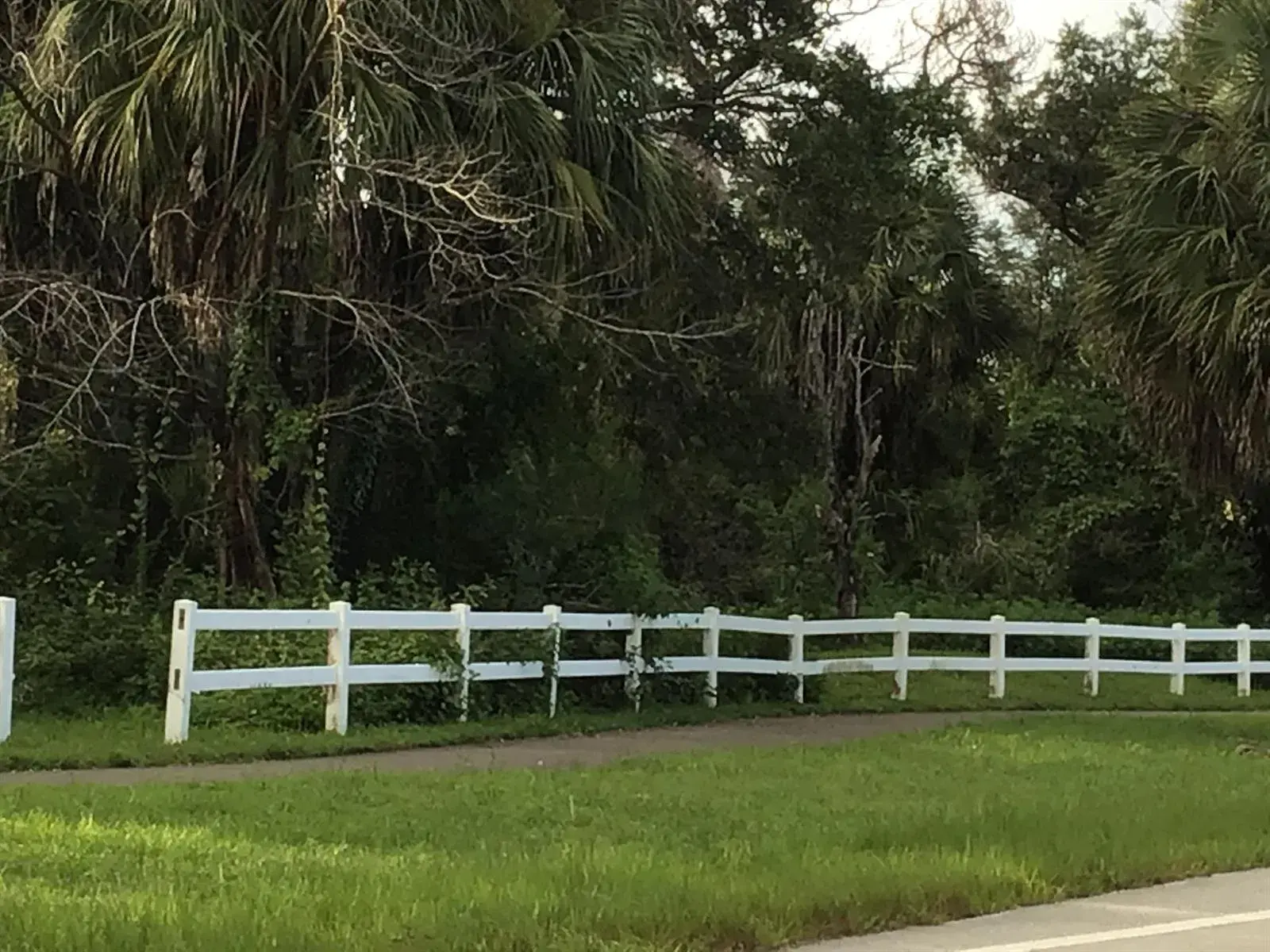 4109 NW 88th Avenue # 207, Coral Springs FL 33065