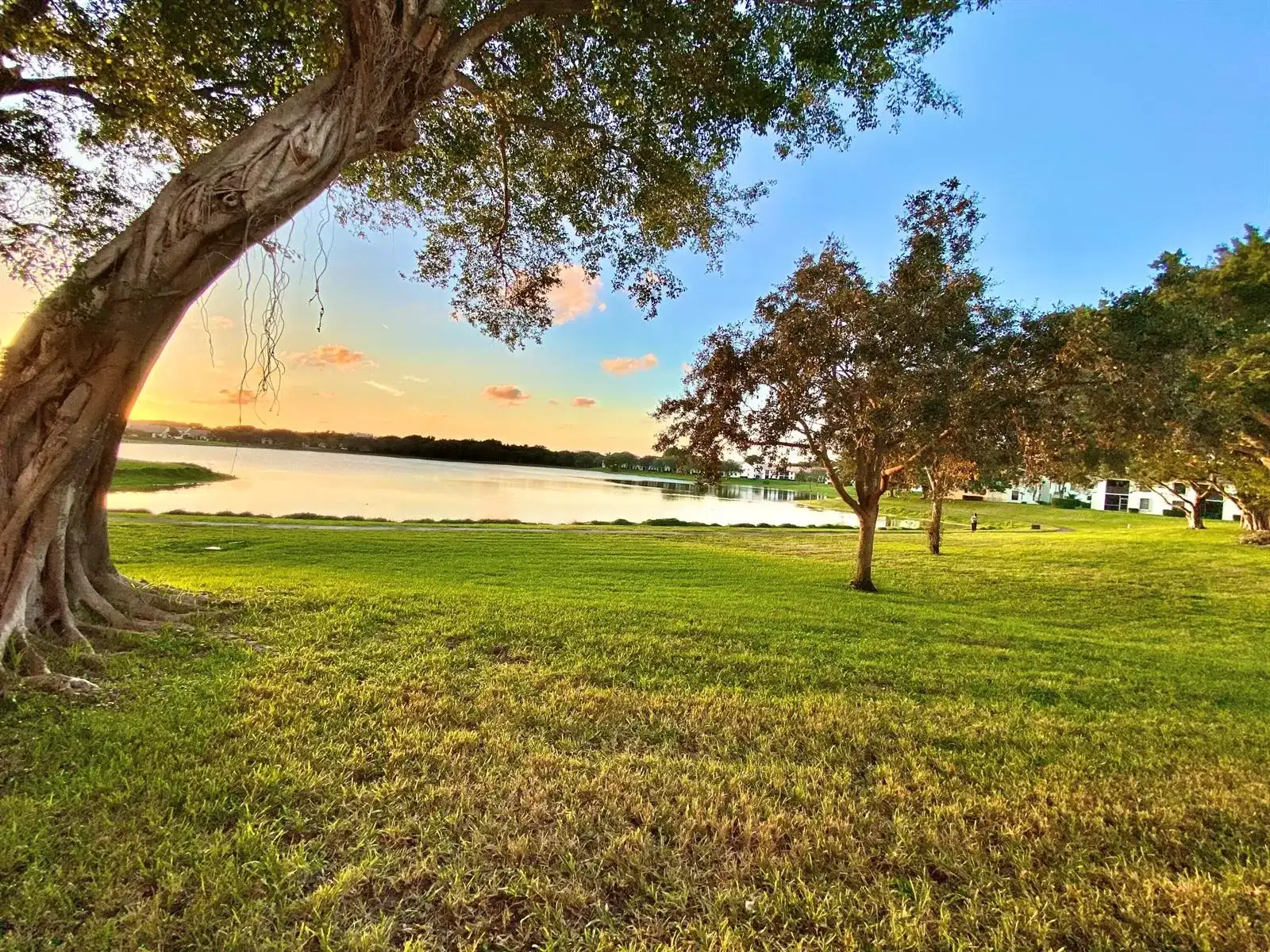 3151 Leewood Terrace # L229, Boca Raton FL 33431