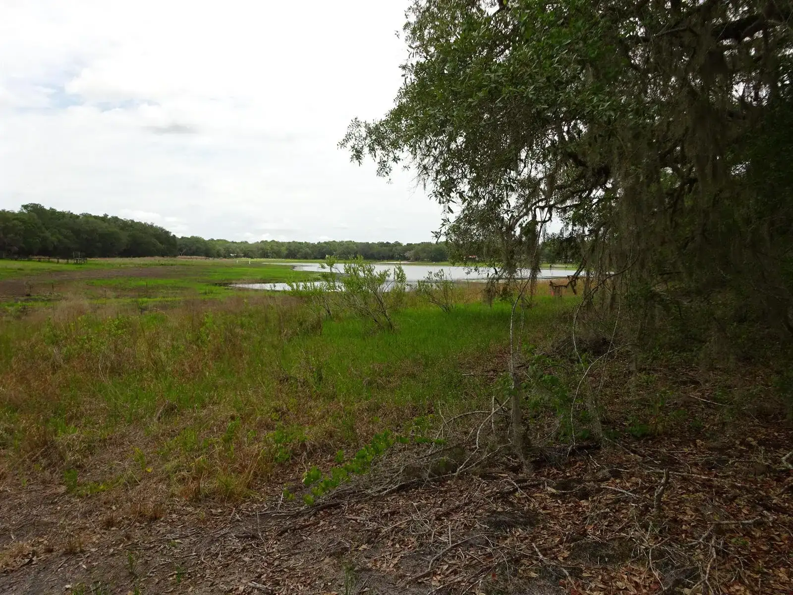2208 SW Shorewood Drive, FL 34431 photo 2