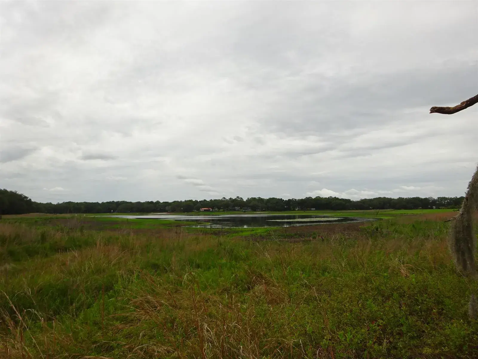 2208 SW Shorewood Drive, FL 34431
