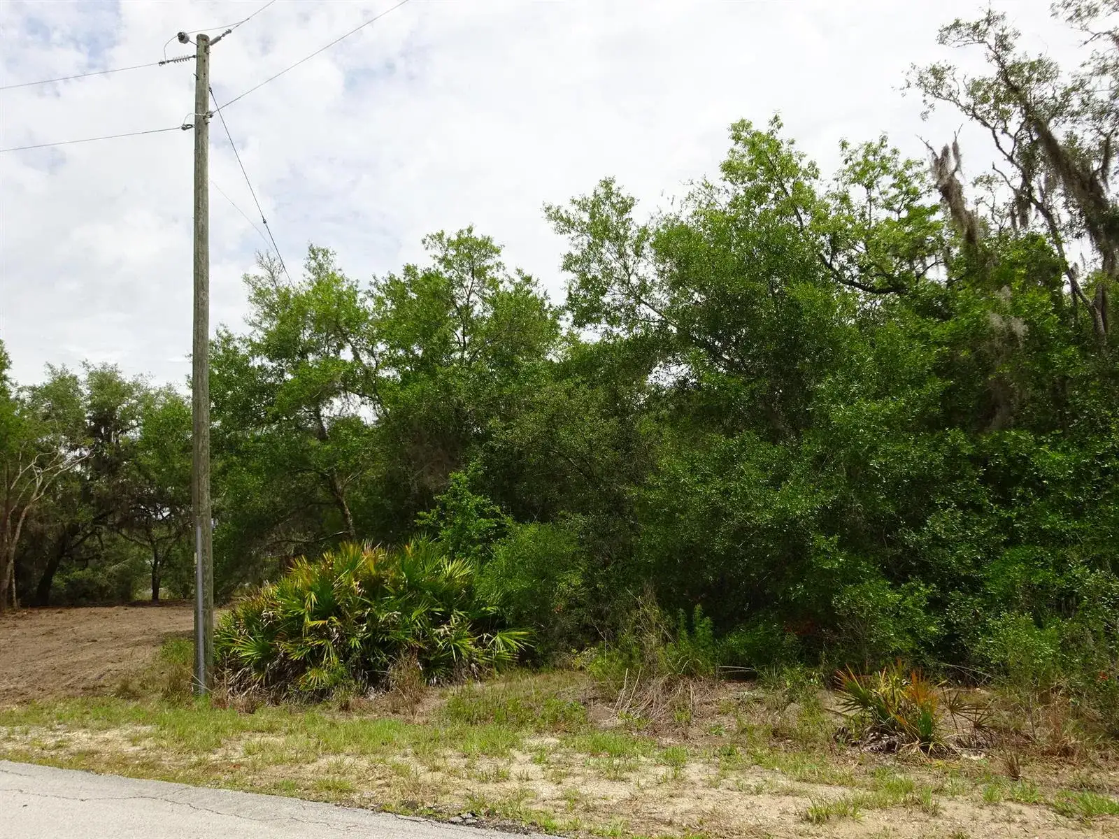 2208 SW Shorewood Drive, FL 34431 photo 5