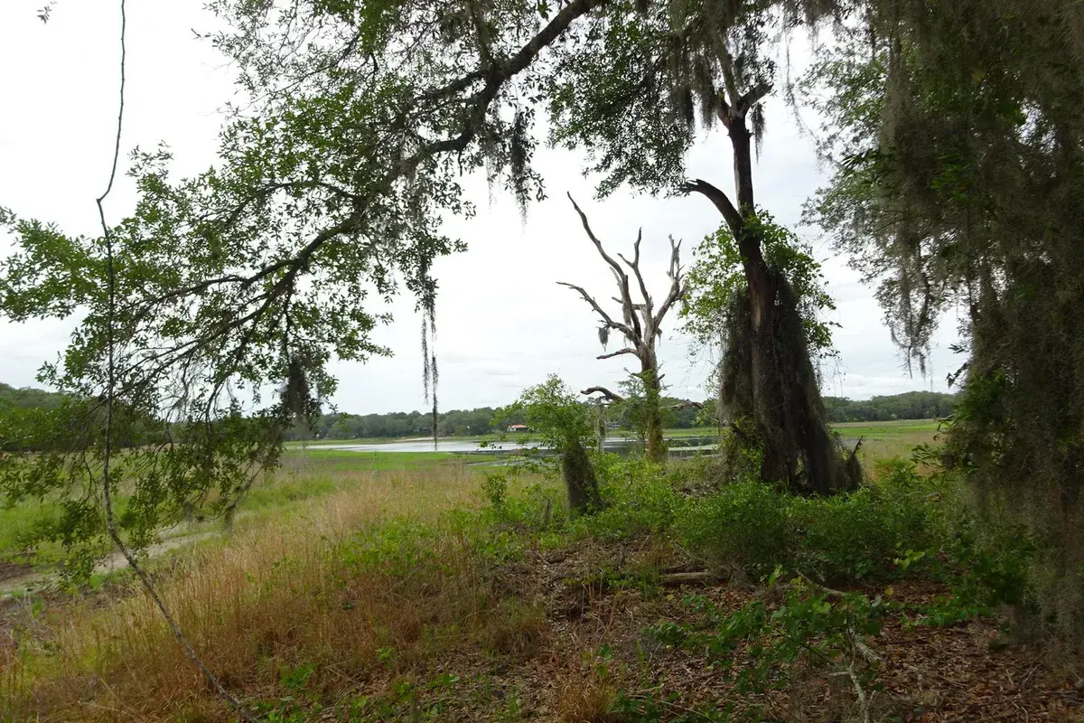2208 SW Shorewood Drive, FL 34431