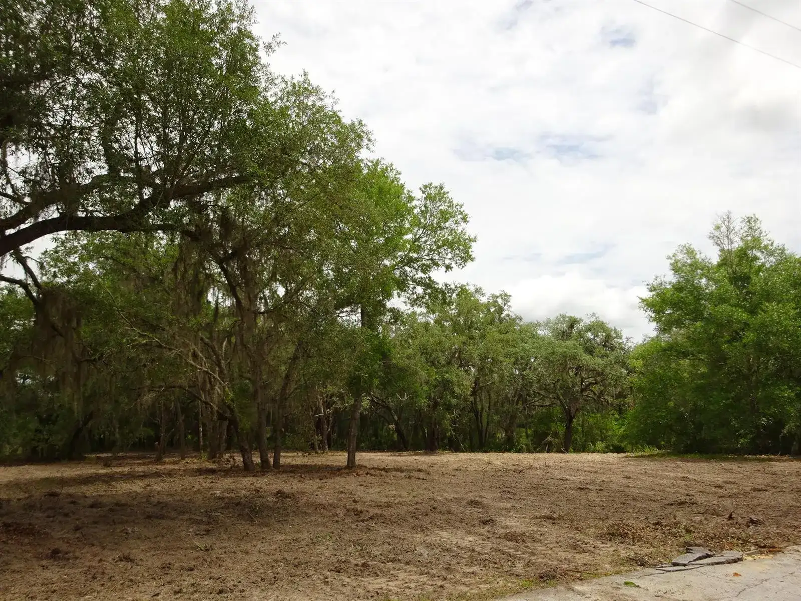 Lots 449,450,451,452,453 SW Shorewood Drive SW, FL 34431 photo 5