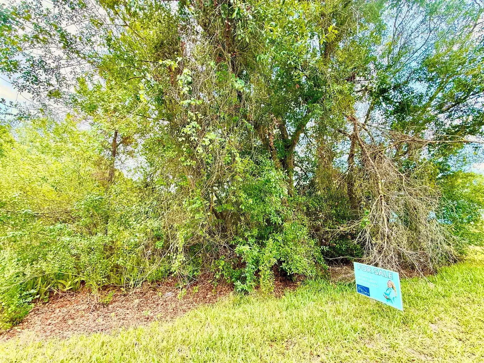 0 NE 2nd Terrace, Okeechobee FL 34972 photo 3
