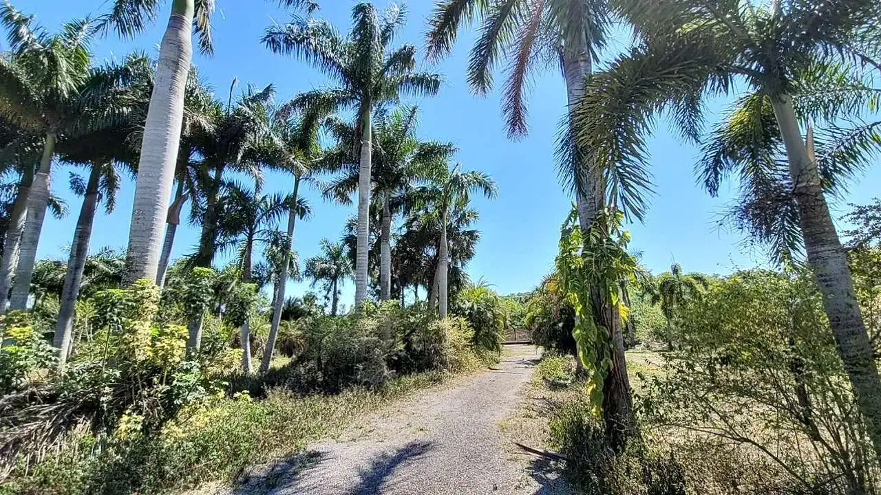 4095 Windmill Road, Loxahatchee FL 33470 photo 2