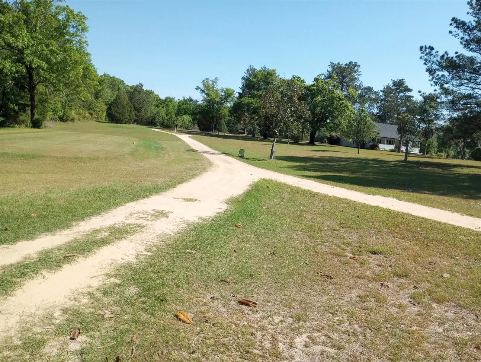 1900 Olive Lane, FL 32425 photo 3