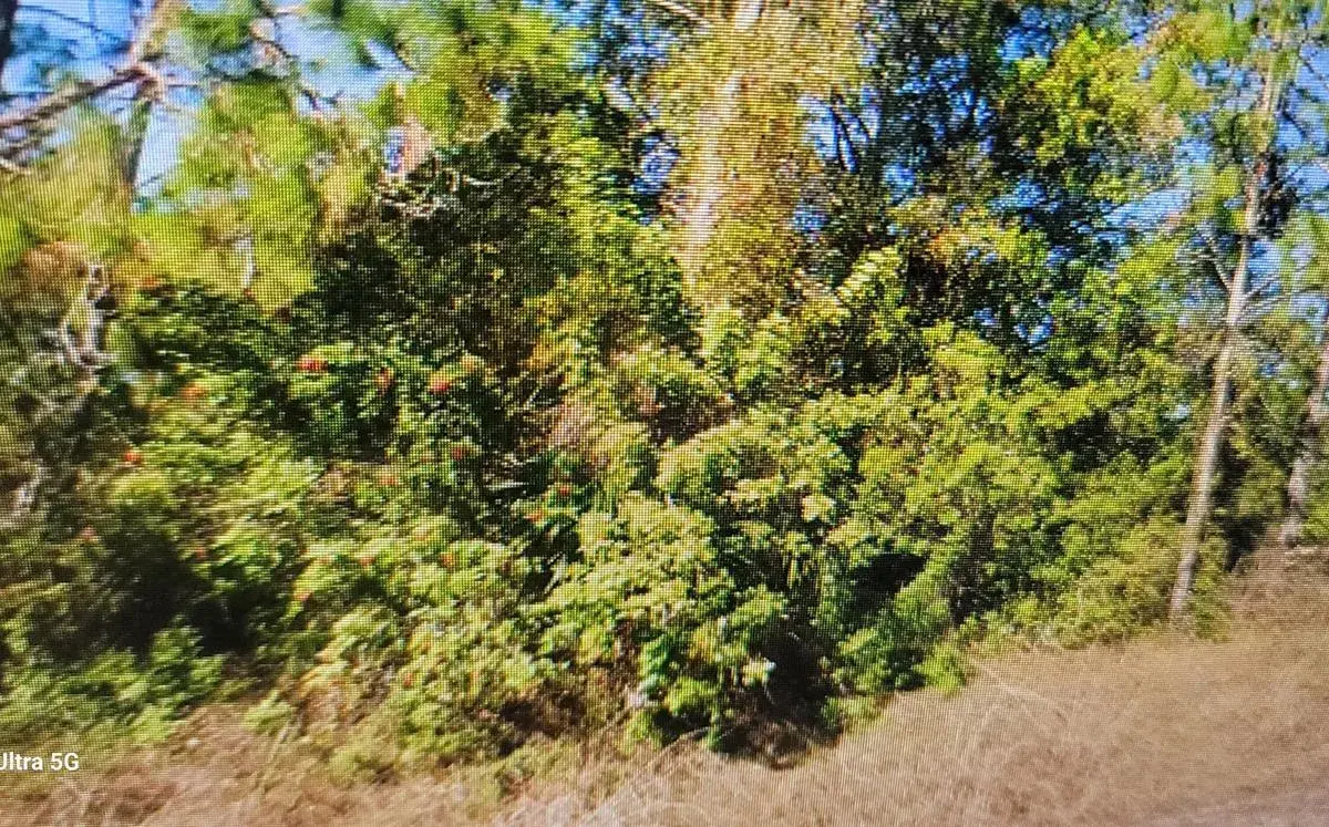 1023 Acacia Avenue, Lehigh Acres FL 33972