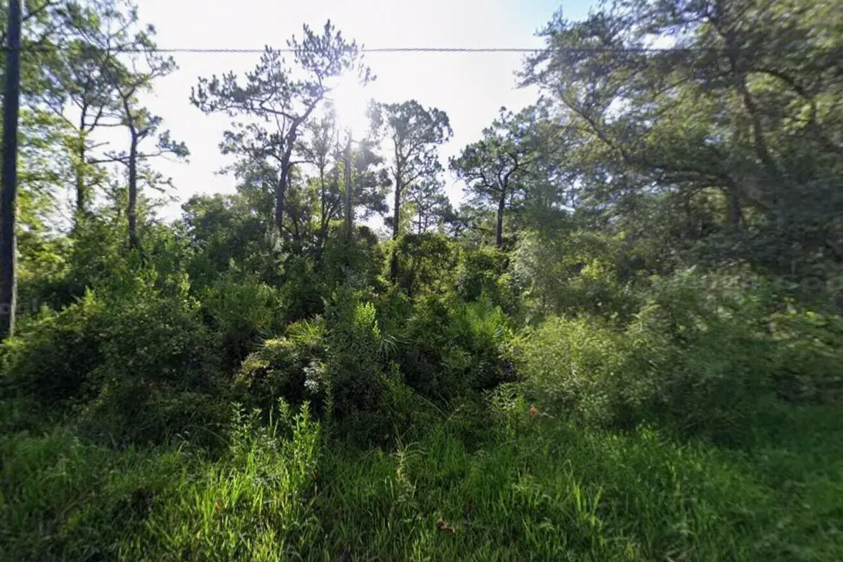 Tbd Atlee Street, New Port Richey FL 34654