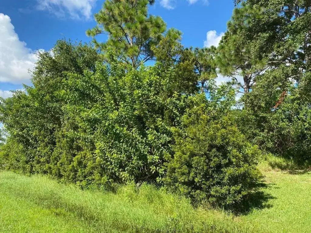 7066 Bargello Street, Englewood FL 34224 photo 3