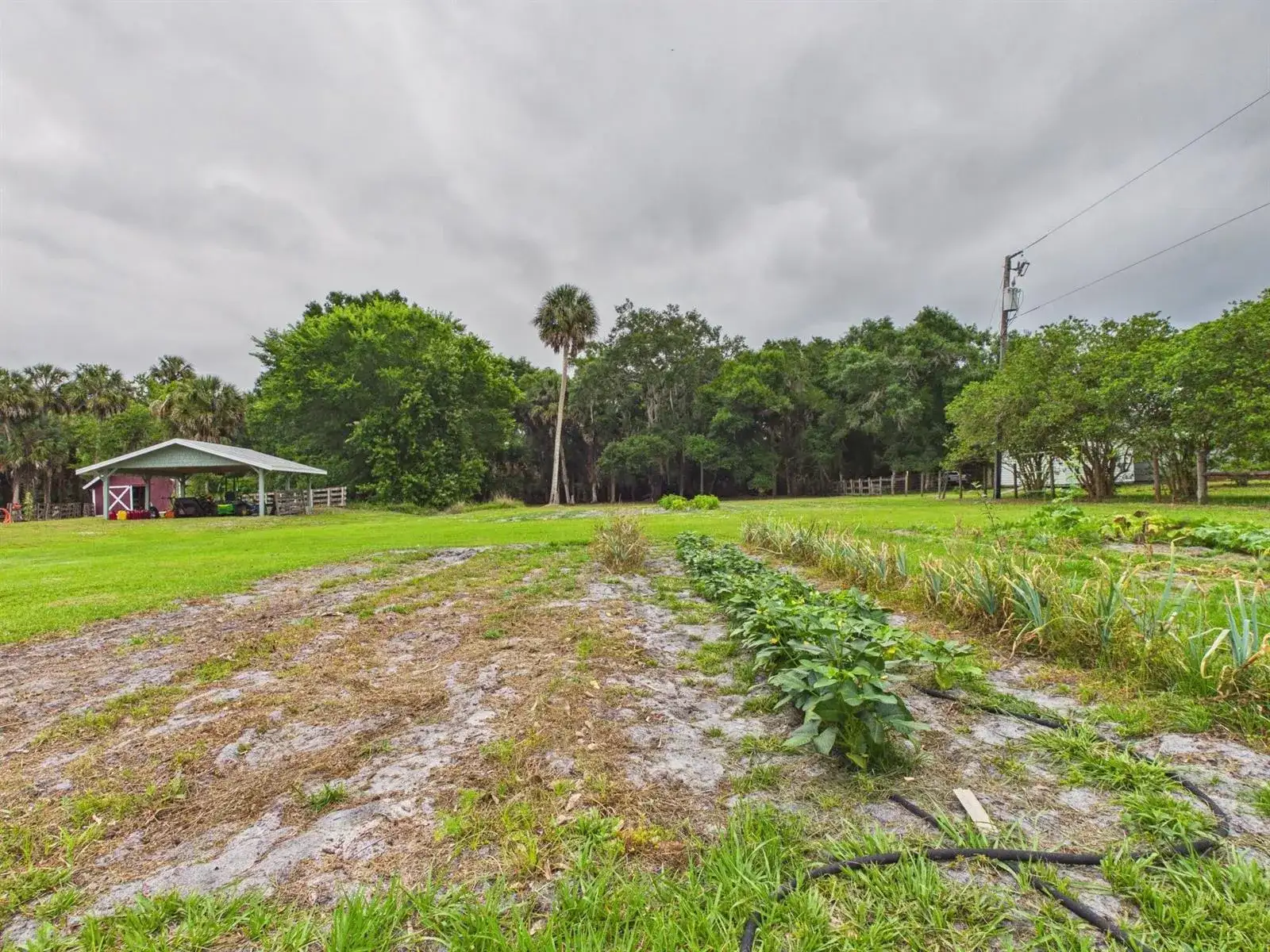 220 SW 67th Drive, Okeechobee FL 34974 photo 2