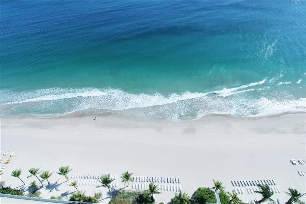 3900 Galt Ocean Drive # 1208, Fort Lauderdale FL 33308