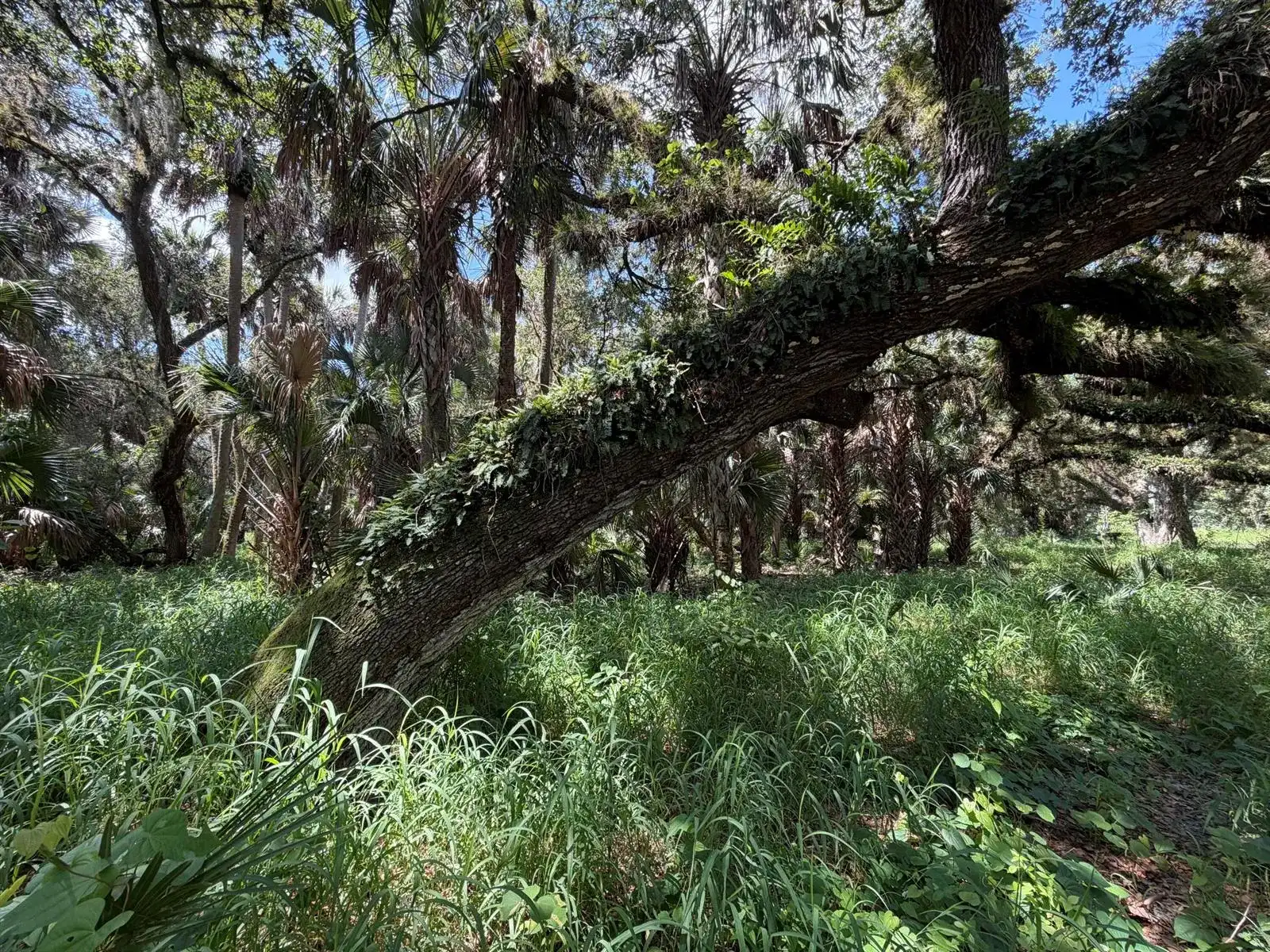 16477 NW 192nd Street, Okeechobee FL 34972