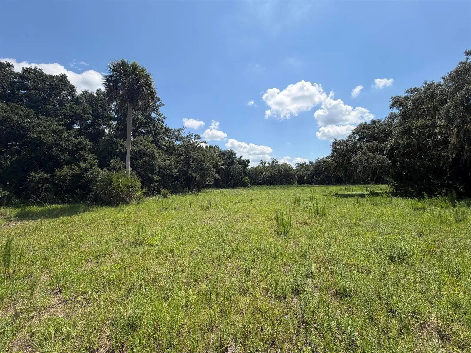 16477 NW 192nd Street, Okeechobee FL 34972