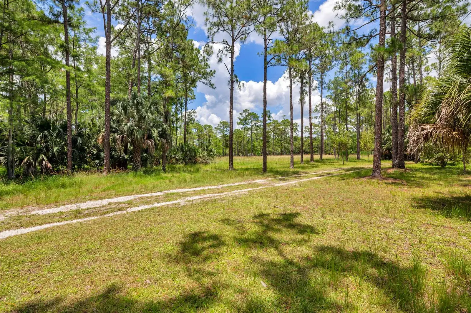00000 Caloosa Boulevard, West Palm Beach FL 33418 photo 3