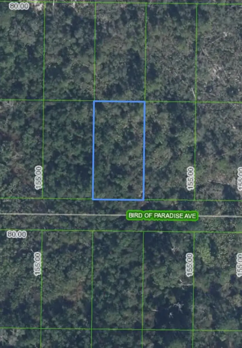 2330 Bird Of Paradise Avenue, Sebring FL 33875