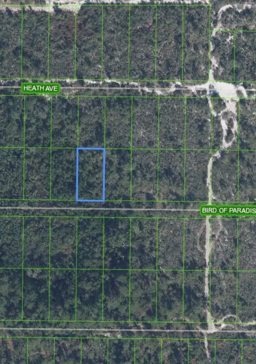 2330 Bird Of Paradise Avenue, Sebring FL 33875 photo 2
