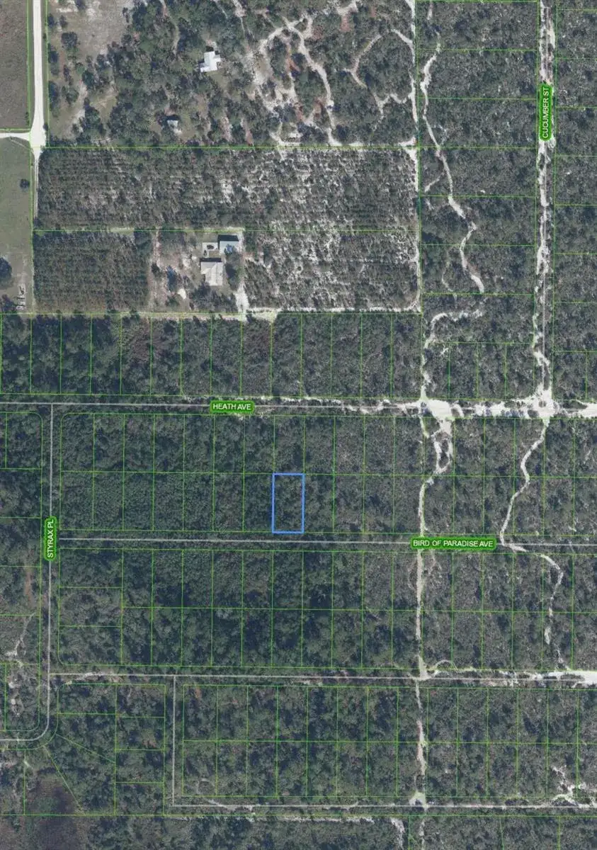 2330 Bird Of Paradise Avenue, Sebring FL 33875 photo 3