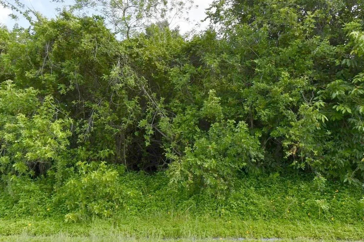 1081 SW Dartmouth Avenue SW, Port St. Lucie FL 34953