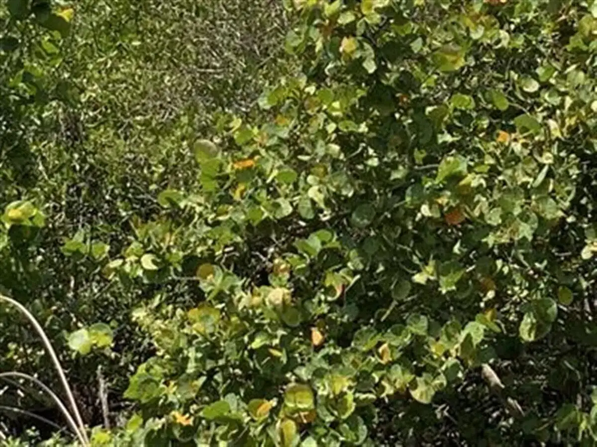 0 S Ocean Drive, Fort Pierce FL 34949 photo 2
