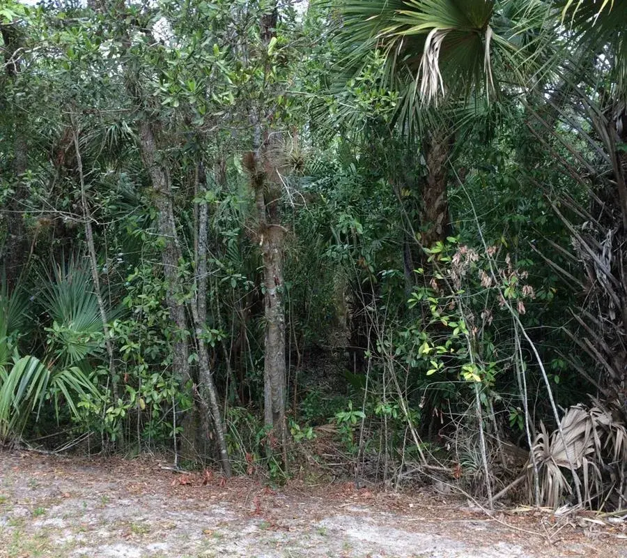 1802 Old River Road, Fort Pierce FL 34982