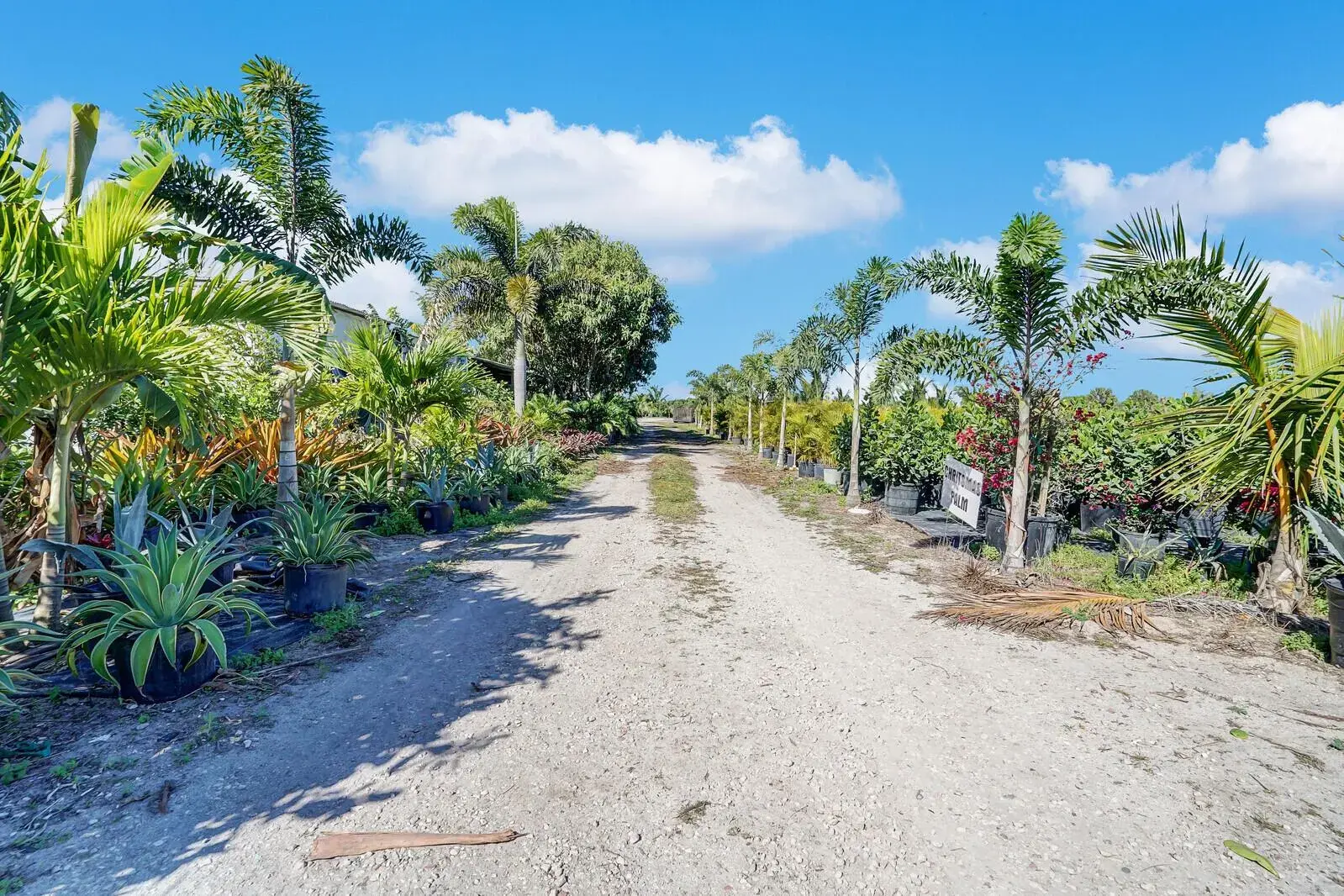 6747 Carol Street, Loxahatchee FL 33470