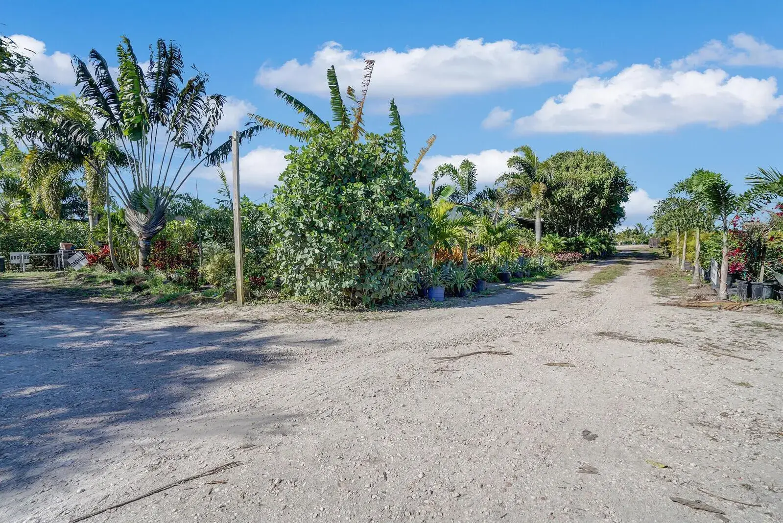 6747 Carol Street, Loxahatchee FL 33470