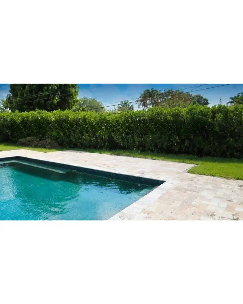 2801 NE 2nd Avenue, Wilton Manors FL 33334 photo 3