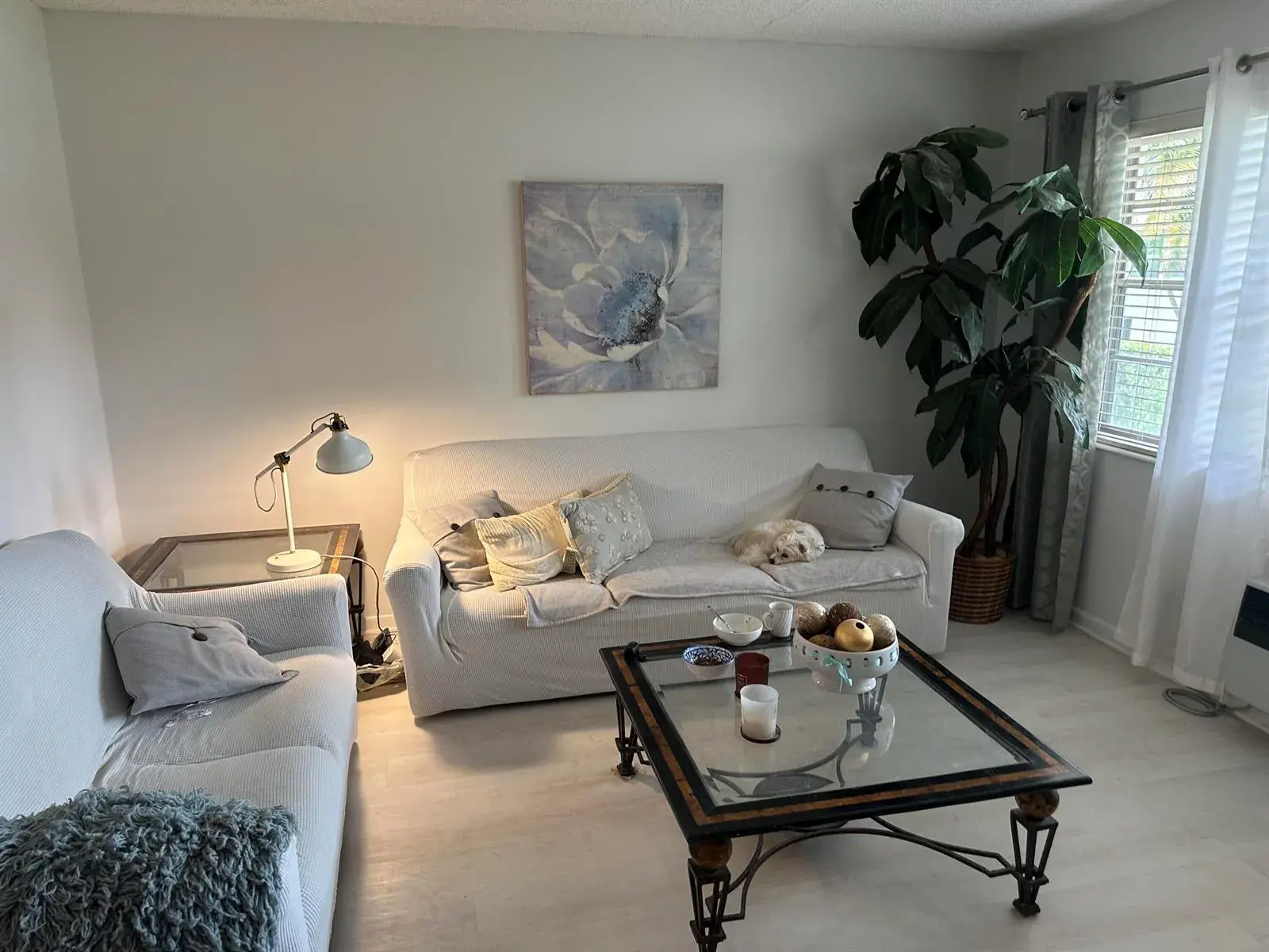 361 Windsor P, West Palm Beach FL 33417