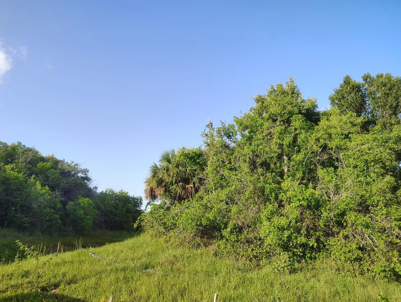 3921 SW Port Saint Lucie Boulevard, Port St. Lucie FL 34953 photo 3