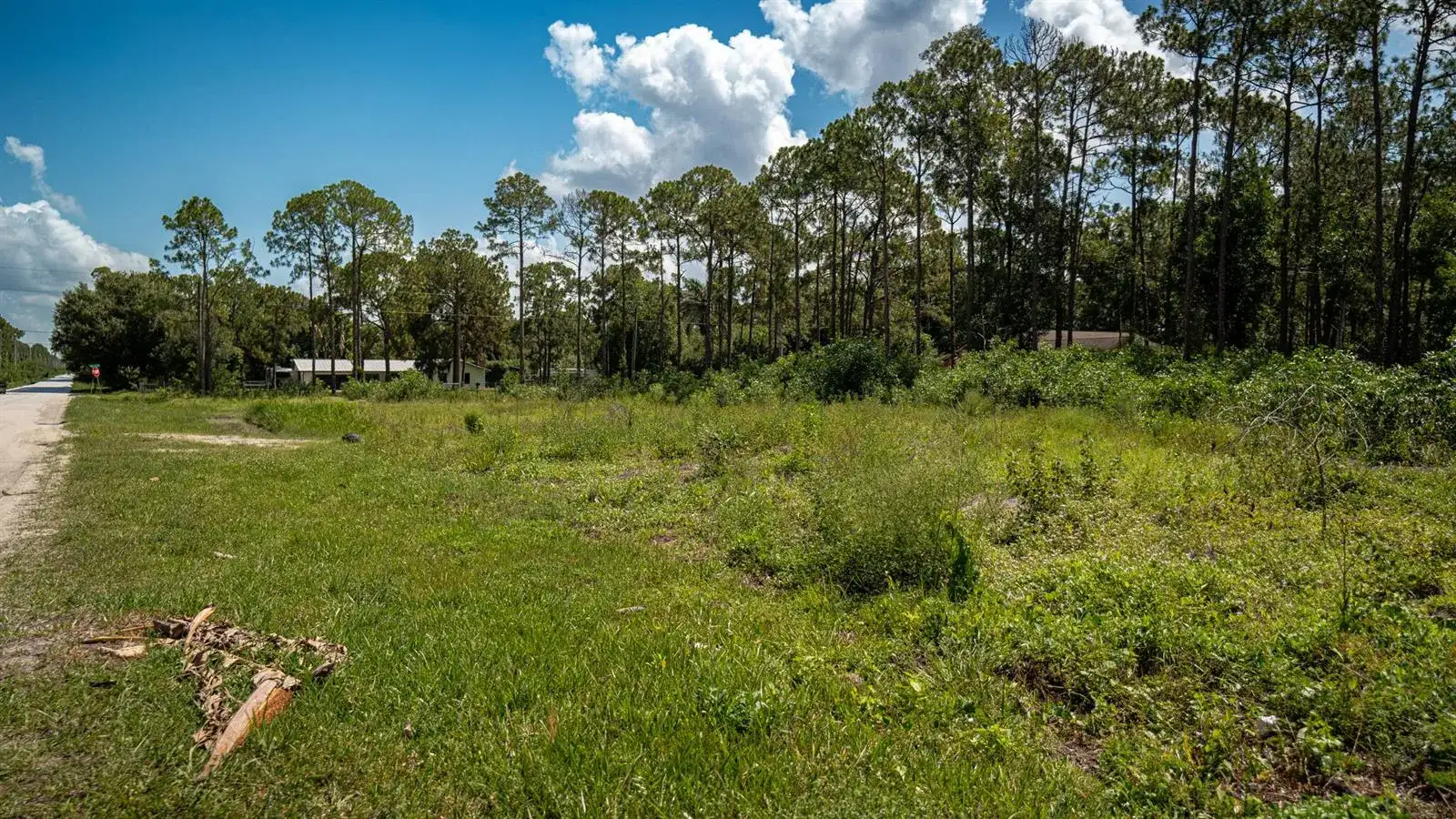 0 129th Terrace N, FL 33478 photo 4