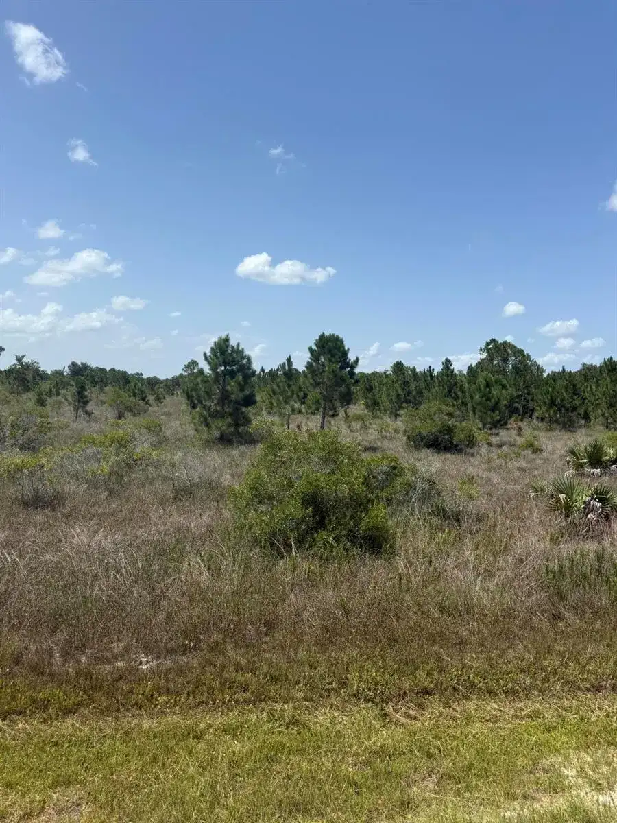 15463 NW 306th Street, Okeechobee FL 34972 photo 2