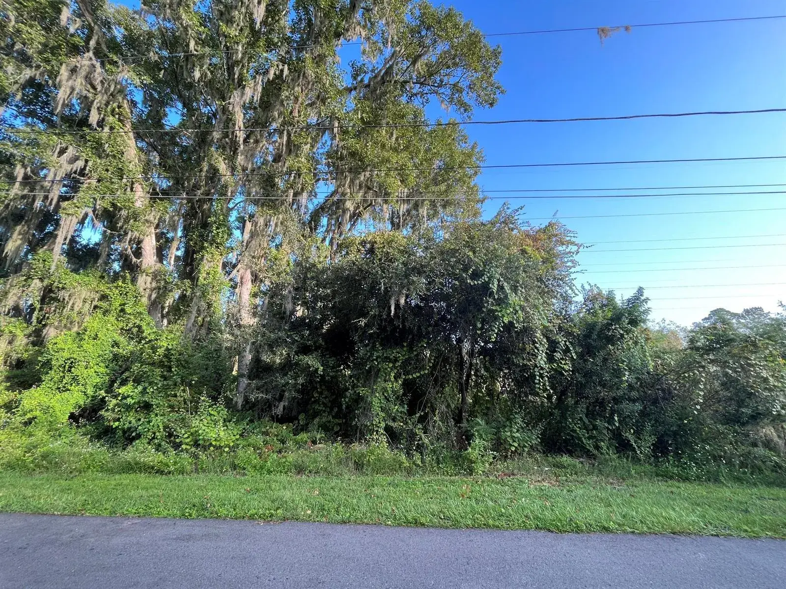 264 Toms Road, FL 32713