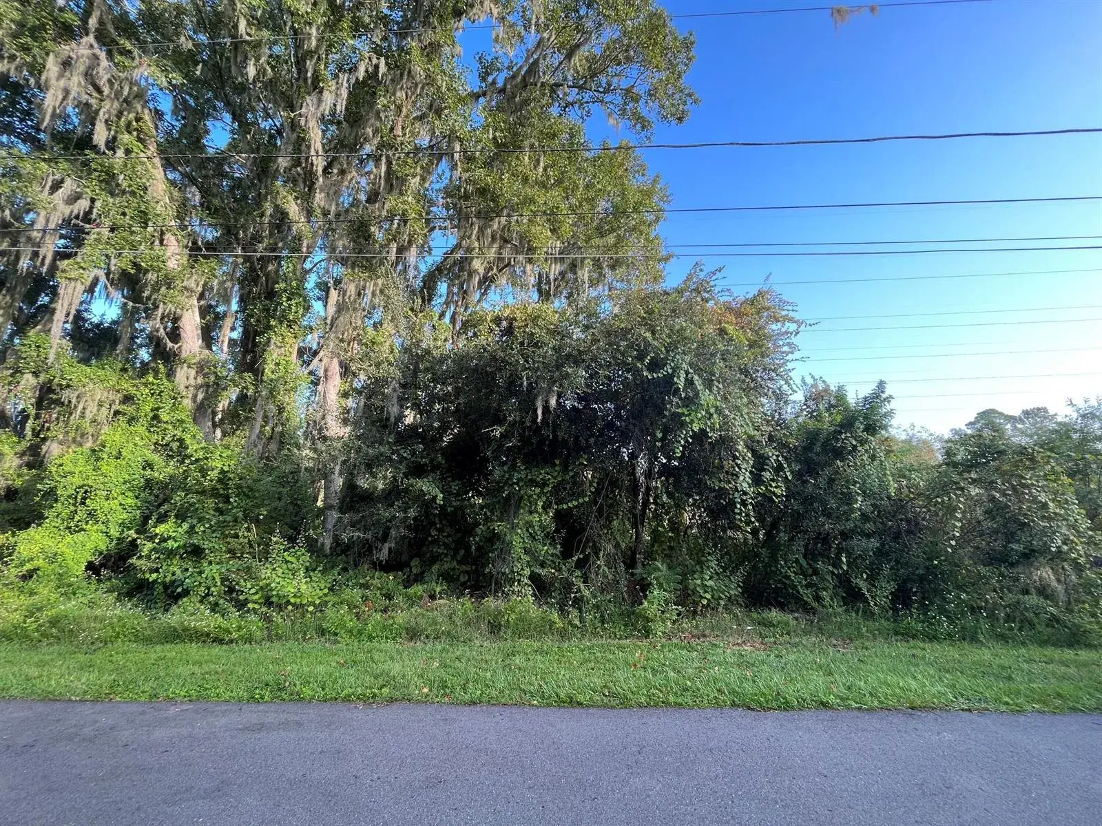 264 Toms Road, FL 32713