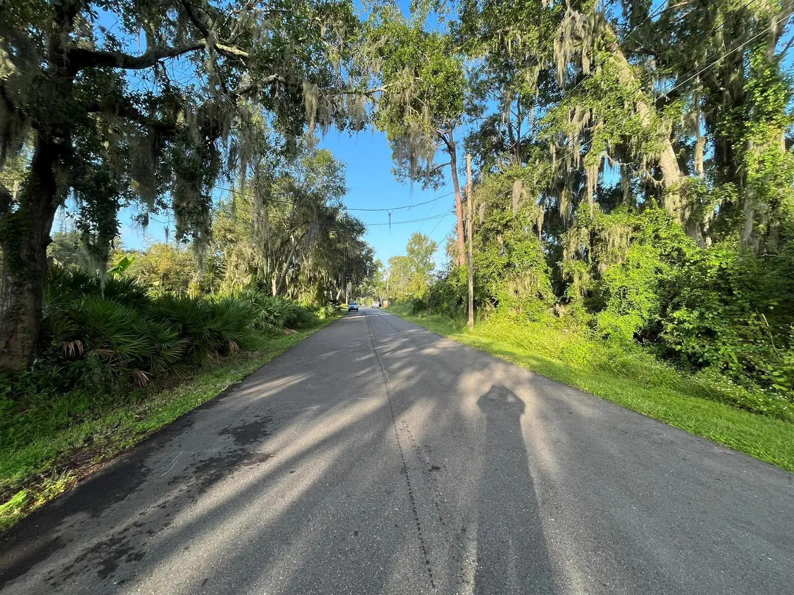 264 Toms Road, FL 32713