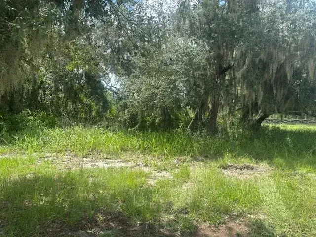0 Old Stokes Road, Frostproof FL 33843