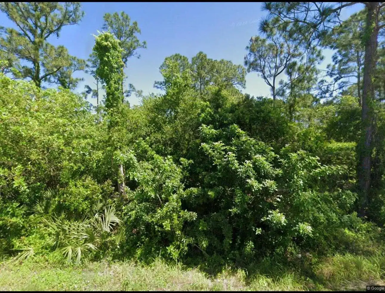 111 Suwannee Lane, Lake Placid FL 33852
