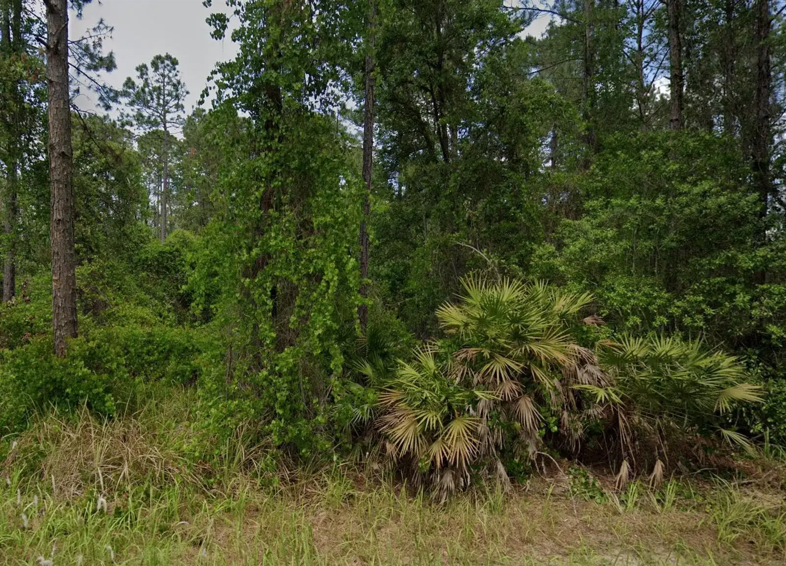 138 Pine Tree Drive, Palatka FL 32177 photo 2