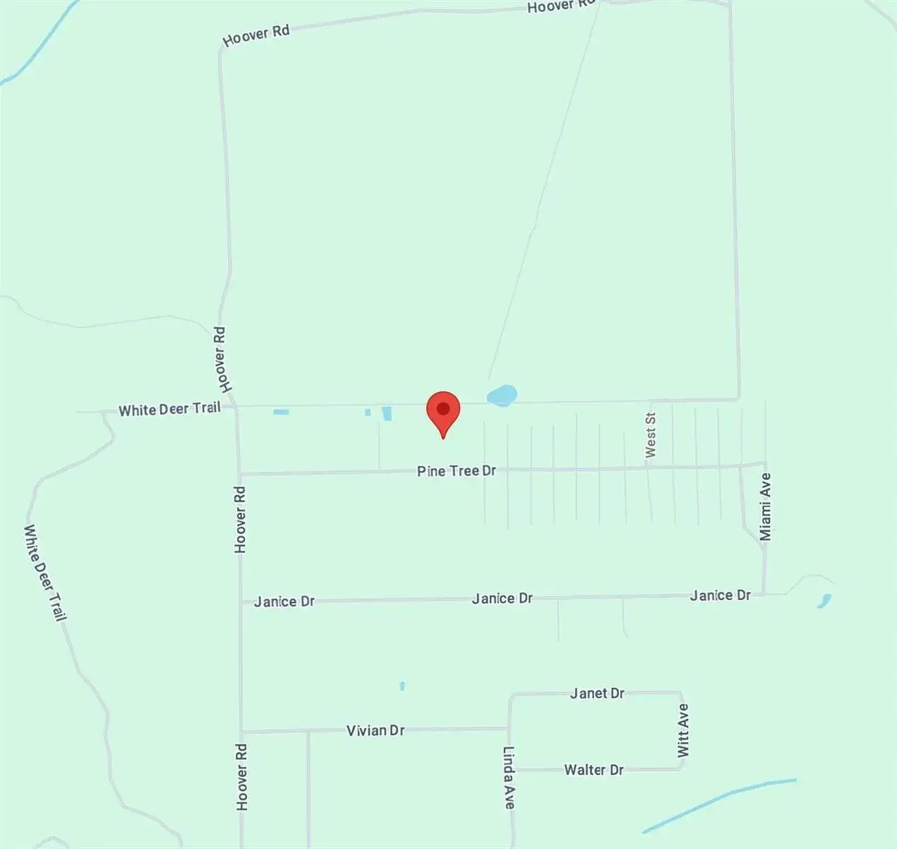 138 Pine Tree Drive, Palatka FL 32177 photo 3