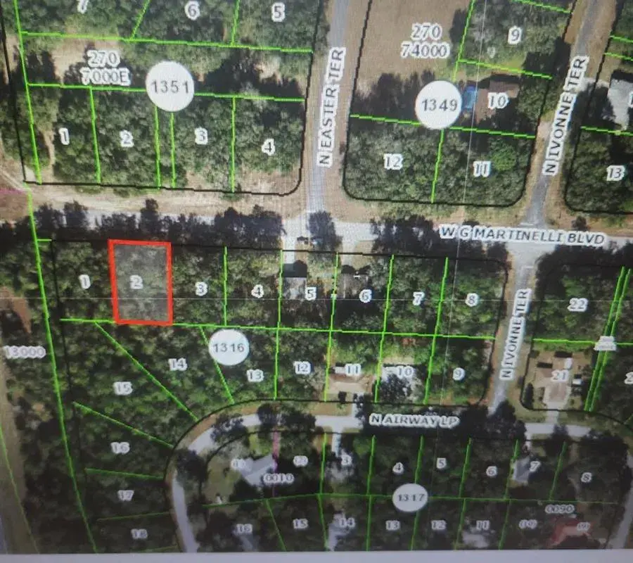 1248 W G Martinelli Boulevard, FL 34434
