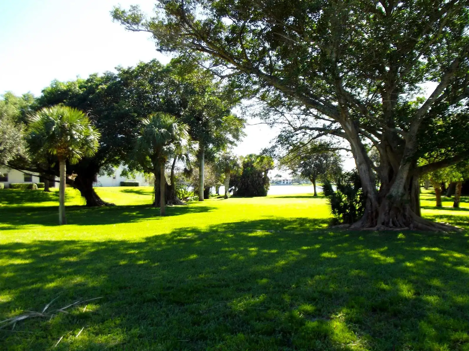 3355 Jaywood Terrace # 2140, Boca Raton FL 33431 photo 5
