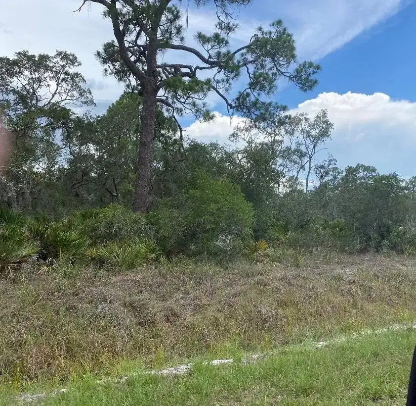 1002 Archie Summers Road, Lake Placid FL 33852