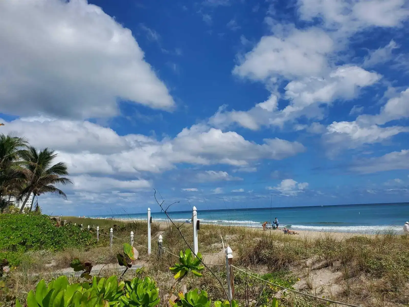 1481 S Ocean Boulevard # 339, Lauderdale By The Sea FL 33062