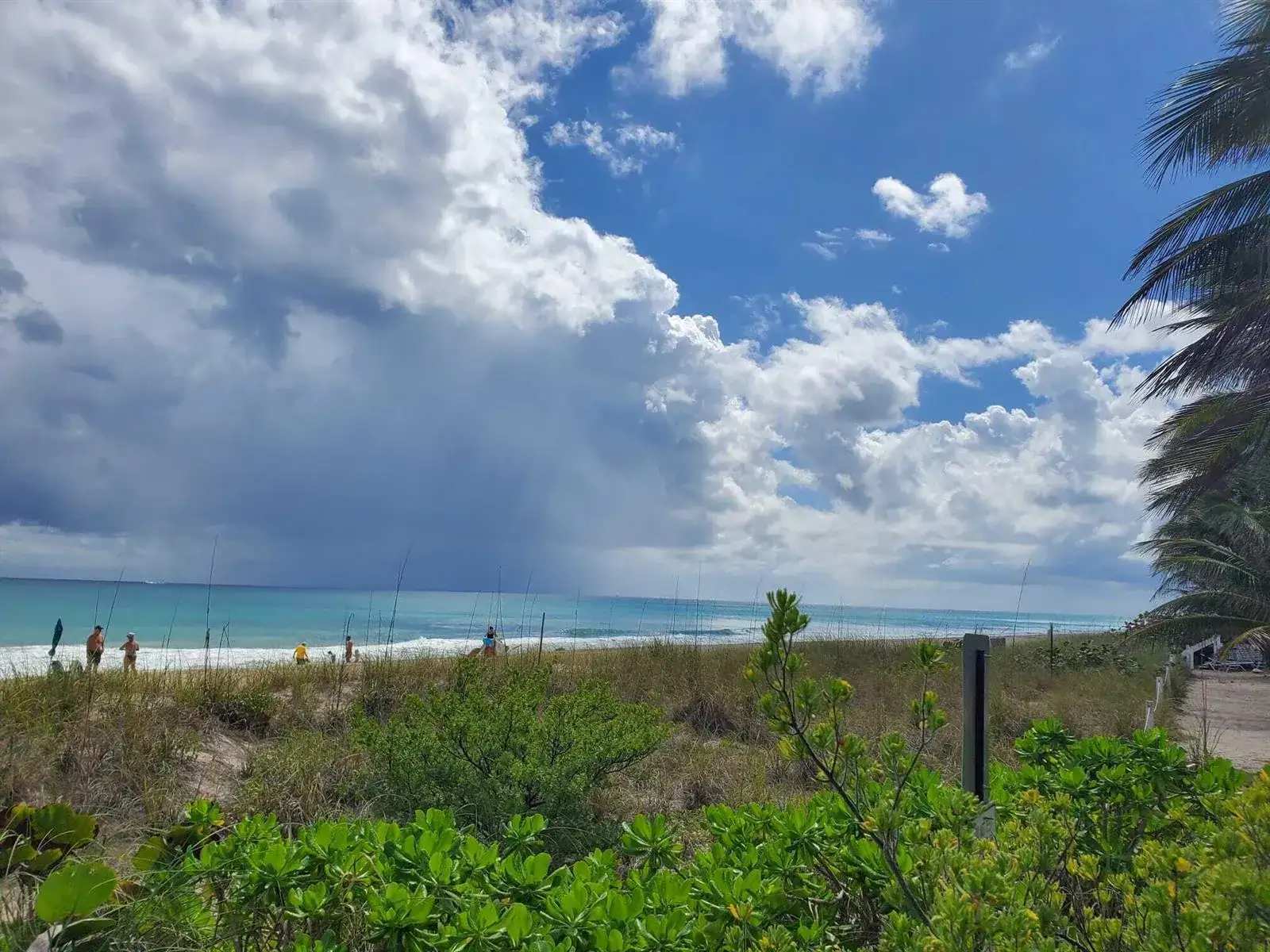 1481 S Ocean Boulevard # 339, Lauderdale By The Sea FL 33062 photo 3