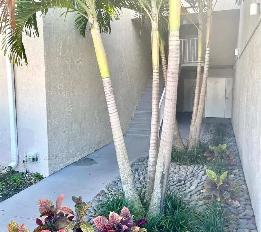 2820 N Oakland Forest Drive # 203, Oakland Park FL 33309