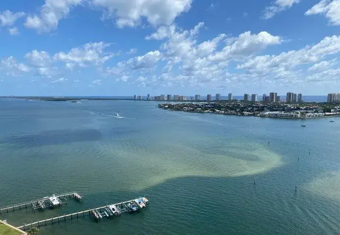 2650 Lake Shore Drive # 2203, Riviera Beach FL 33404